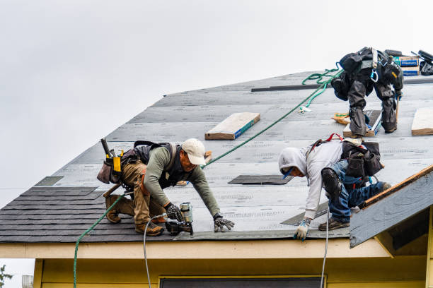 Professional Roof Installation technician working in Campbell, OH